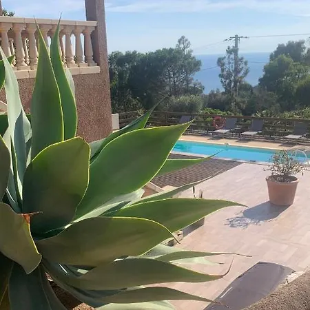 Bas De Vue & Piscine Appartement Coti-Chiavari (Corsica)