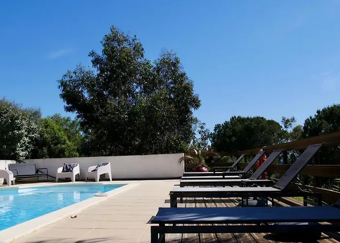 Bas De Vue & Piscine