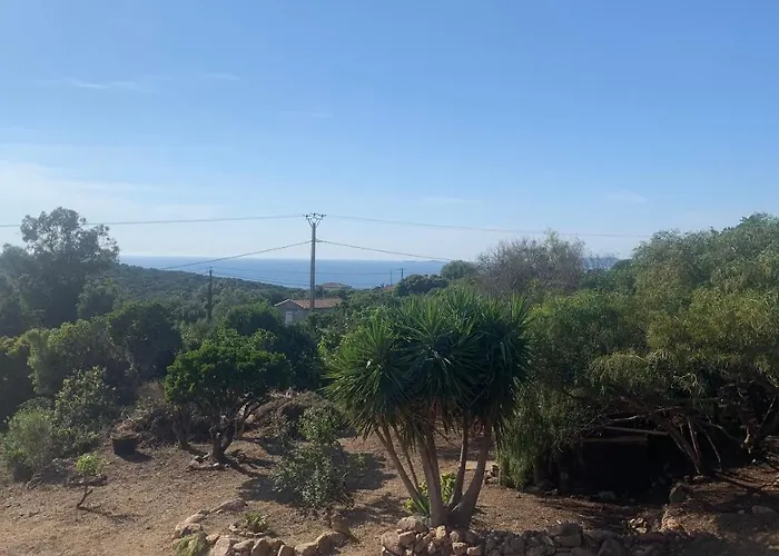 Appartement Bas De Vue Mer&piscine Coti-Chiavari (Corsica)