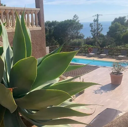 Bas De Vue Mer&piscine Appartement Coti-Chiavari (Corsica)